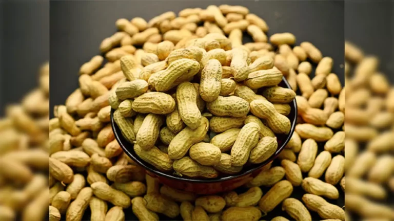 Idtv Indradhanush Peanuts