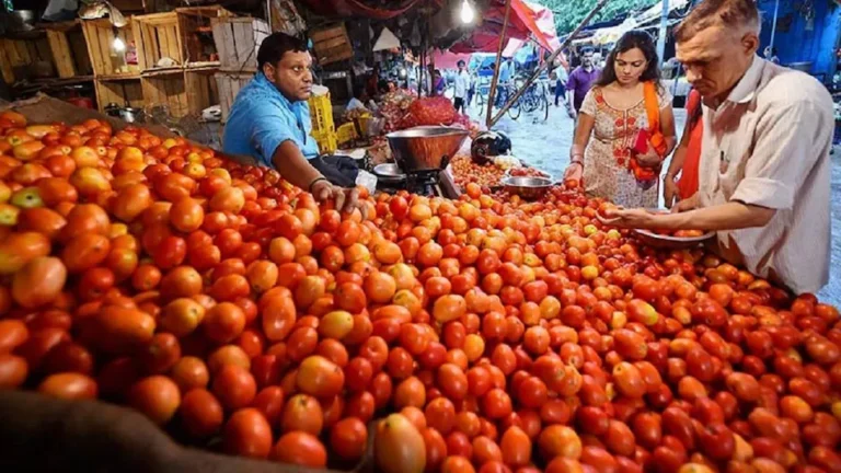 Idtv Indradhanush Tomato