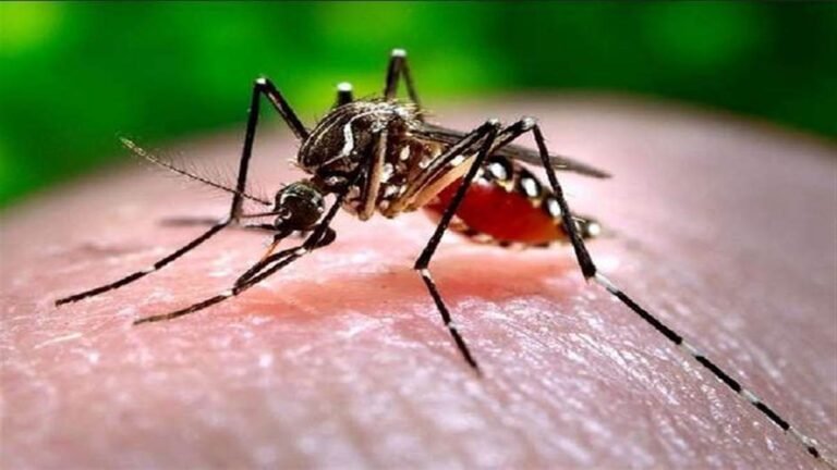 Idtv Indradhanush Mosquito