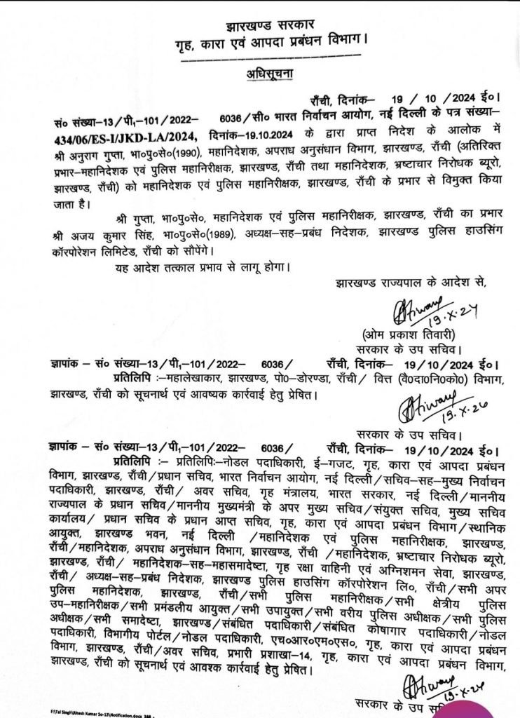 WhatsApp Image 2024 10 19 at 6.22.14 PM