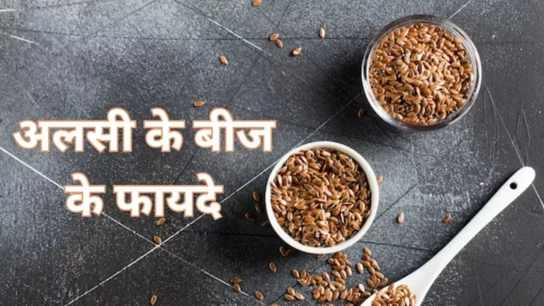 17 02 2024 flax seeds benefits 23655392 21102272