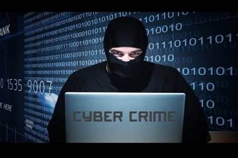 cyber froud