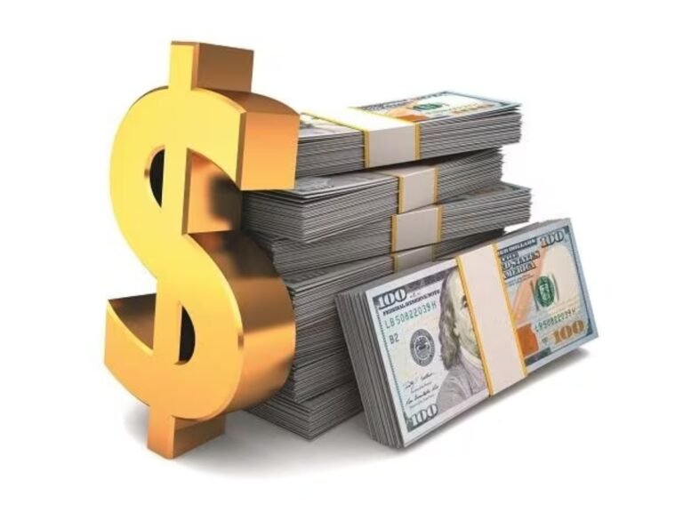Foreign Exchange Reserves: