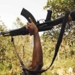 इंदौर के 78 वर्षीय बुजुर्ग ने संजोए रखा है दुनियाभर की दुर्लभ घड़ियों का अनमोल खजाना