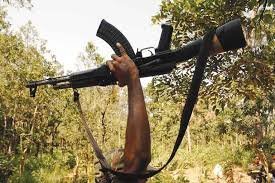 नेपाल में सरदार बनकर रह रहा पीएलएफआई सुप्रीमो दिनेश गोप धराया, 25 लाख का सरकार ने रखा है ईनाम