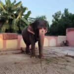 The Trial Season 2 Review: